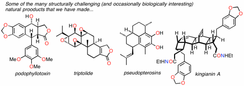 Synthesized Natural Products